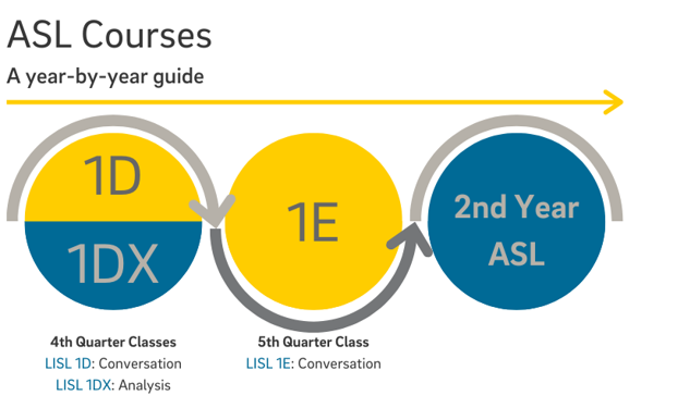 Courses second year